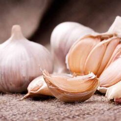 பூண்டு-நாடு