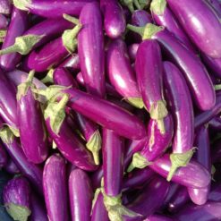 நீல கத்தரிக்காய்