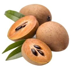 சப்போடா பழம்