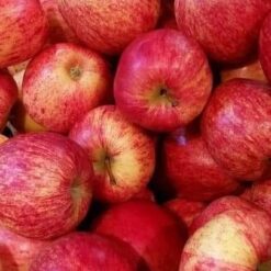 வாஷிடன் ஆப்பில்