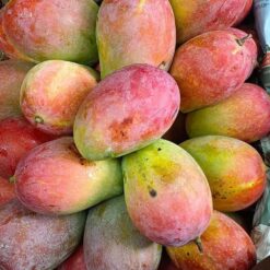 செந்தூரம் மாபழம்