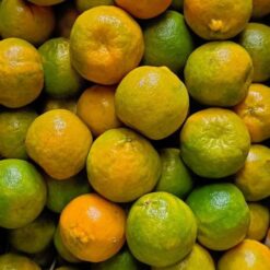 நாக்பூர் ஆரஞ்சு