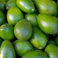 வென்னைப் பழம்