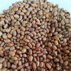 தட்டைப்பயறு